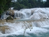 Cascade Agua Azul