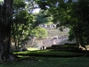 Bonampak. Vue générale de la pyramide