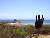 Baja California (Côte est entre la Paz et los Cabos) 2