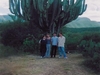 Très grand cactus du Sud du Mexique