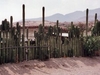 A Mitla, les cactus servent de murs pour délimiter les maisons