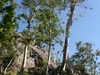 La nature reprend ses droits. La Iglesia Coba.