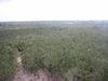 Vue panoramique du site de Coba