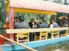 Mariachis à Xochimilco