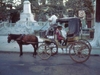 En décembre 1969, un fiacre attend ses clients à la station à Merida (Yucatán).