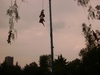Voladores