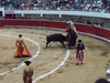 Corrida Mexicaine, une coutume importée d'Espagne (Photo 2)