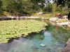 Dzibilchaltun Le cenote