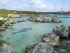 Parc de Xel-Ha: un paradis pour les poissons...