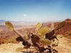 La vallée de Oaxaca vue depuis Monte Alban