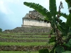 Le site de Palenque...