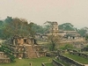 Plusieurs ruines de Palenque en panoramique