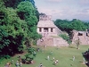 Une des nombreuses pyramides de Palenque