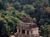 Un des nombreux temple de Palenque