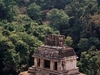 Un des nombreux temple de Palenque