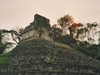 Encore Palenque sous une magnifique lumière