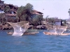 En avril 1970, au large de l’île de Janitzio
