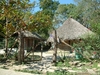 maison huasteca en tampamolon