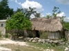Maison dans un village maya à Coba.