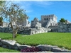 Site Maya de Tulum 1