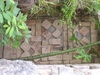 Cachés dans la verdure, de très beaux bas-reliefs.