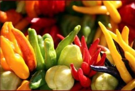 Les Chiles. Qué picante es esto!